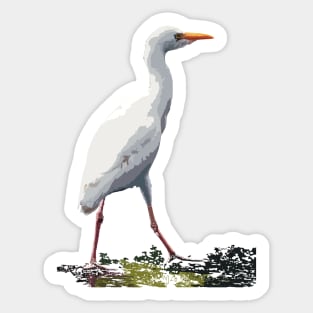 Cattle Egret on a walk Sticker